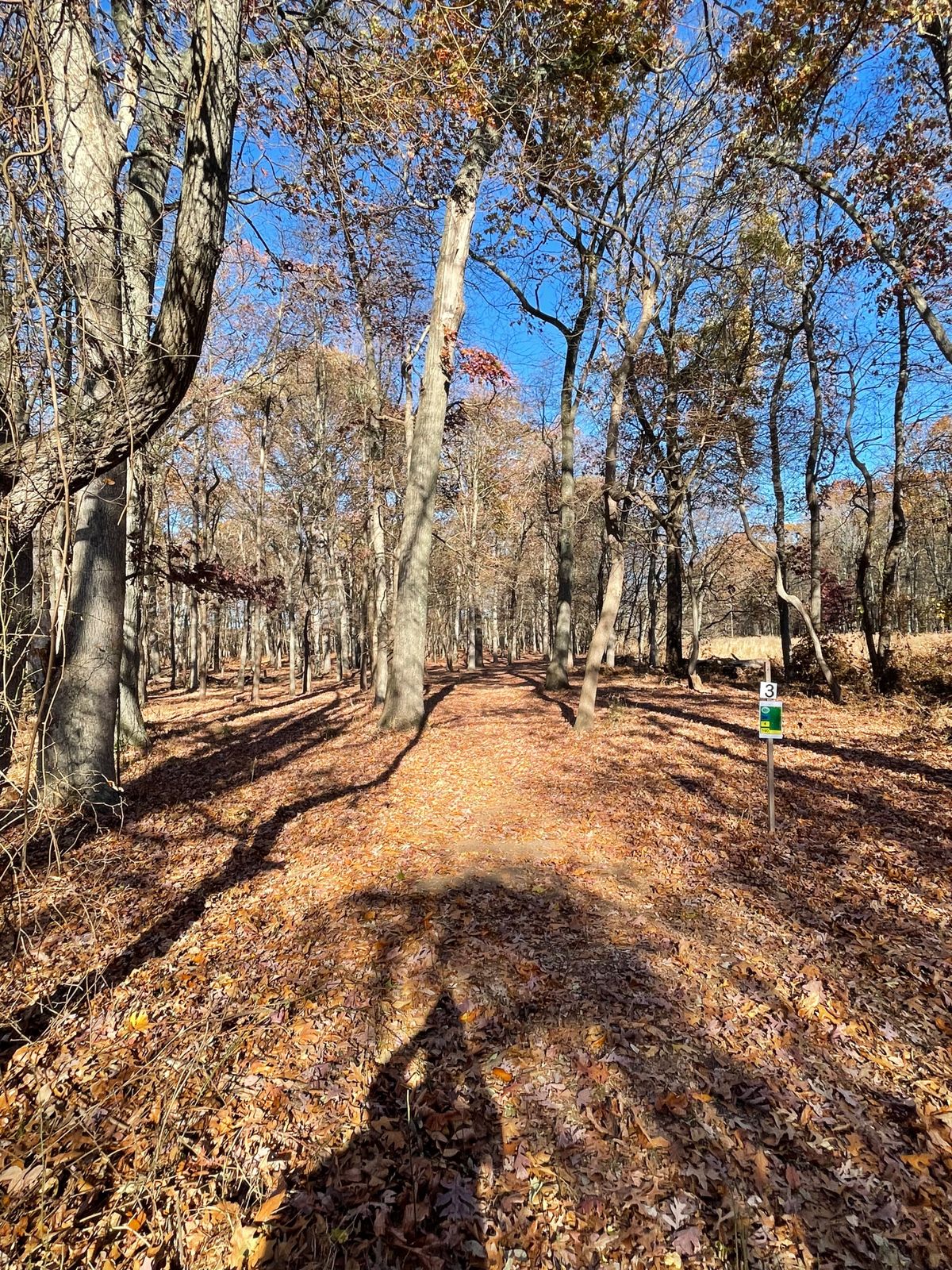 Mercer County West Hole 3