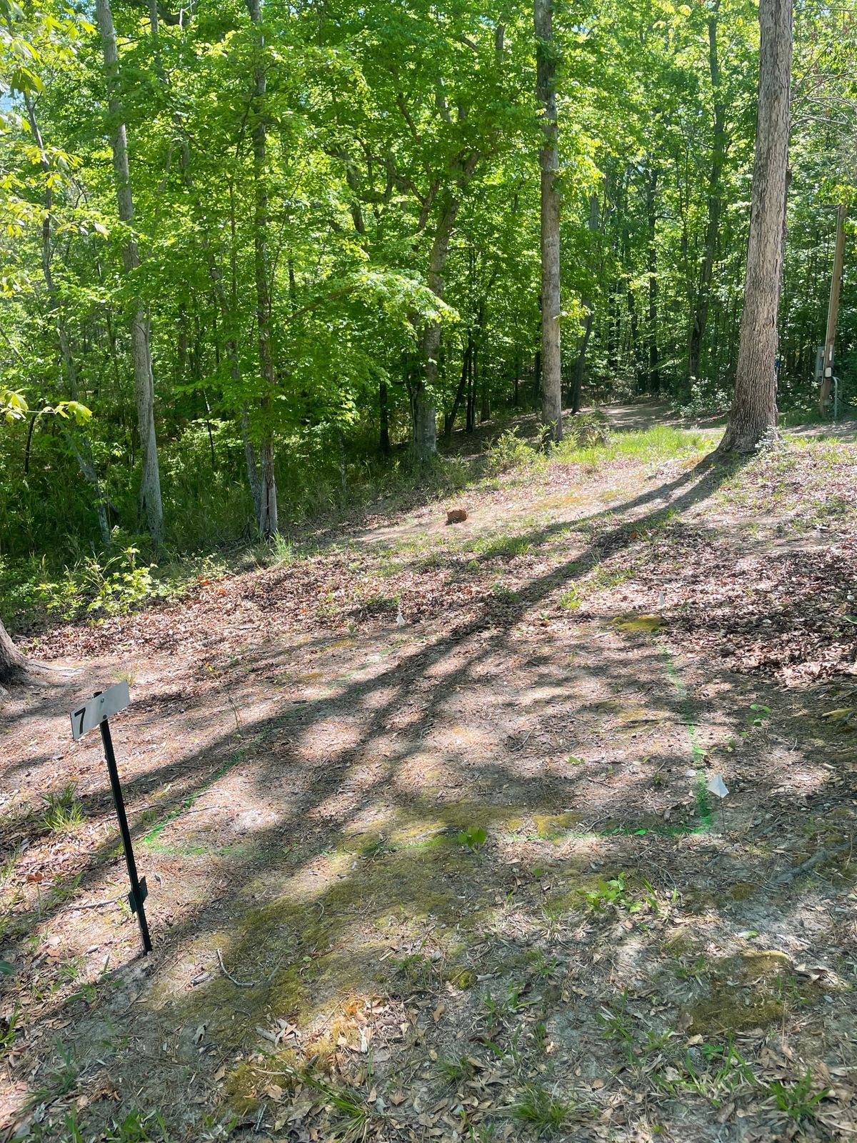 Hole 7 teebox