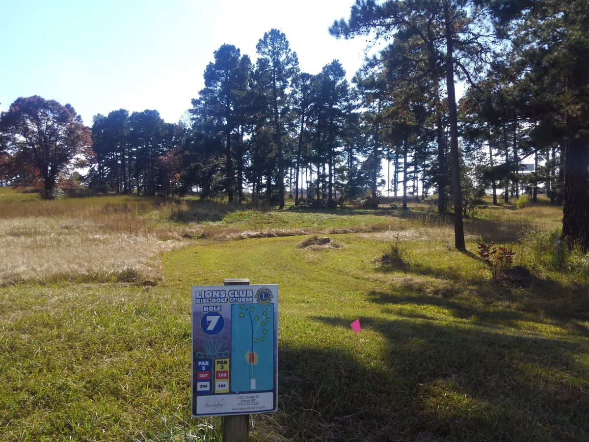 #7 tee