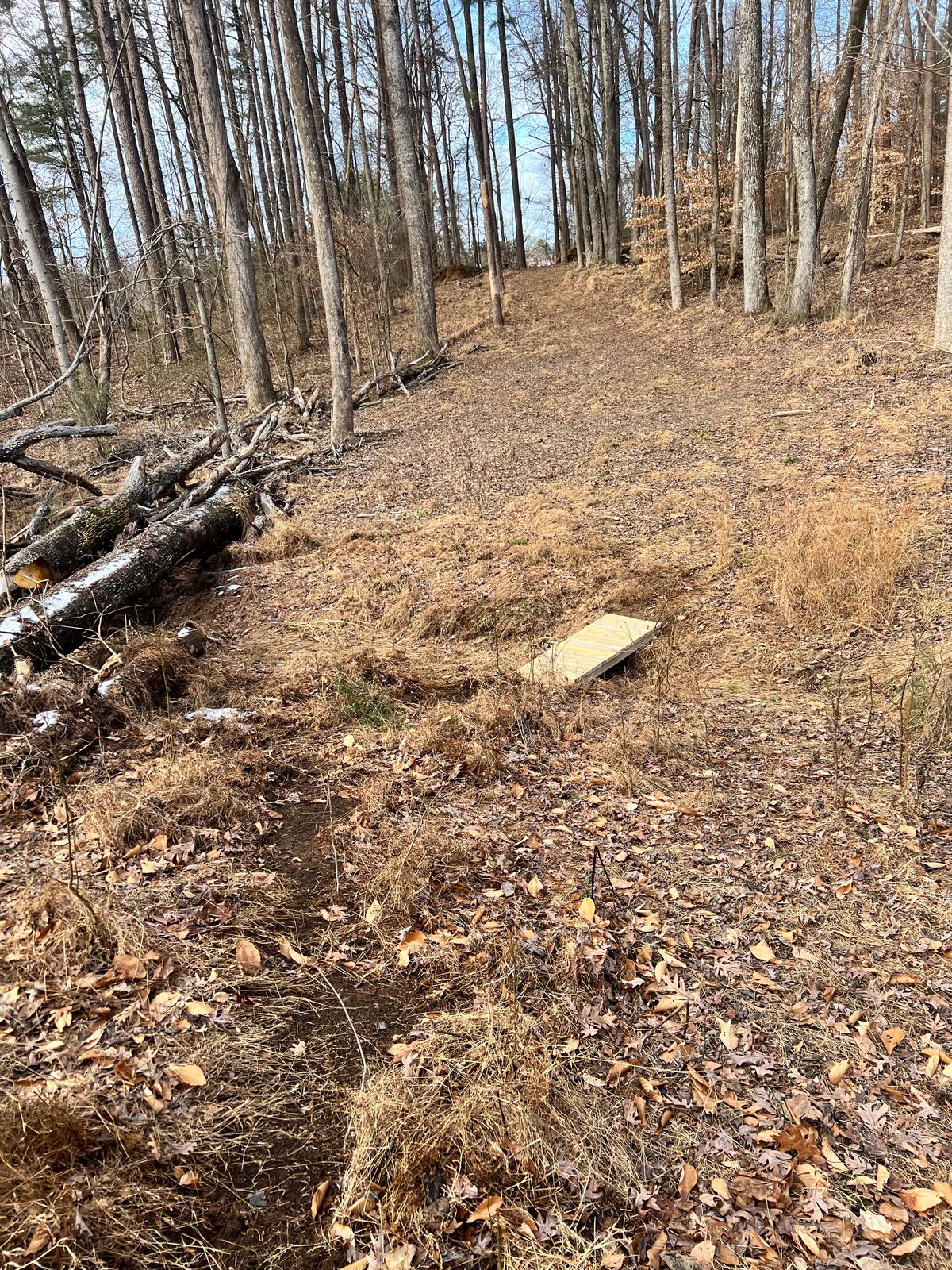Hole 3 after storm damage cleared up. Still a work in progress but has come a LONG WAY!