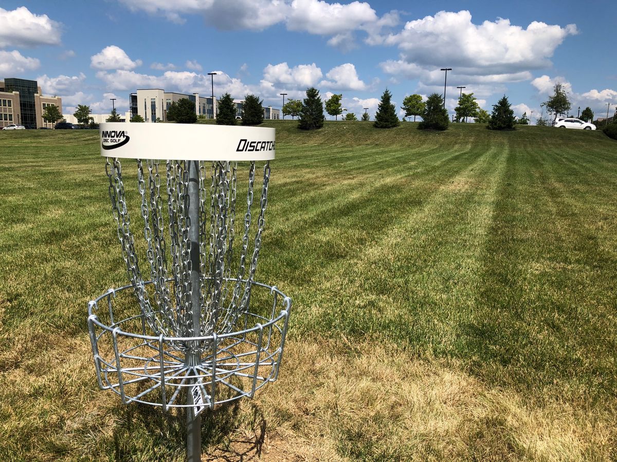 Hole 15 basket