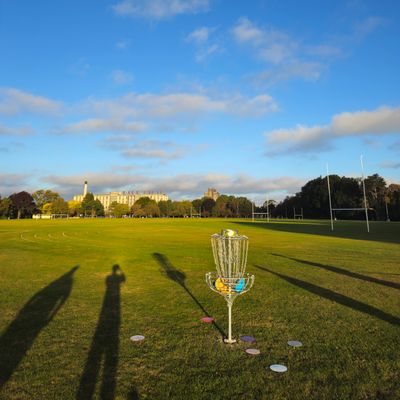 Hole 6 Basket