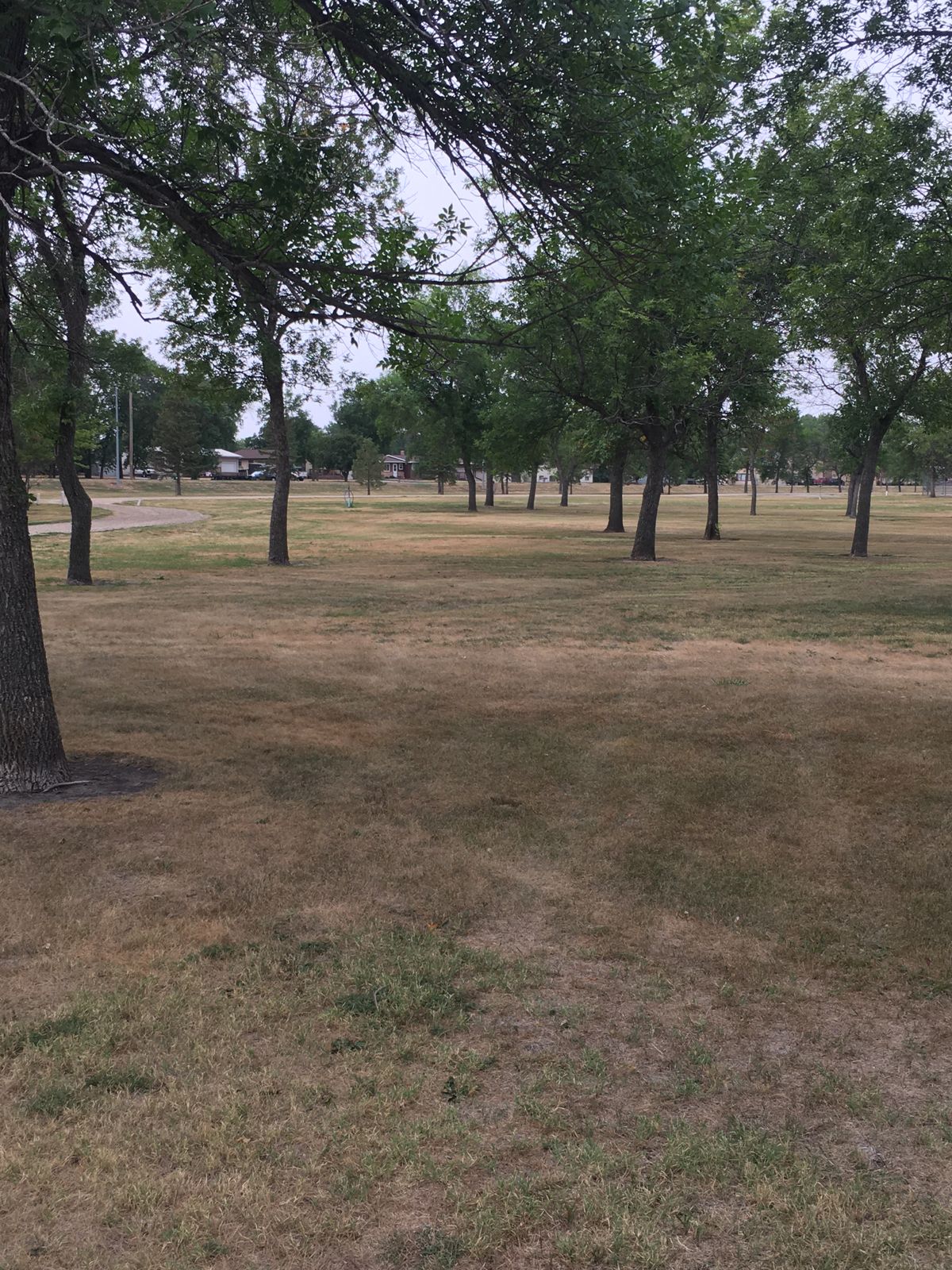 Several baskets behind trees from vantage point of tee.
