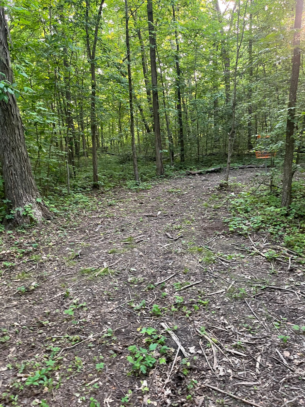 Hole 3