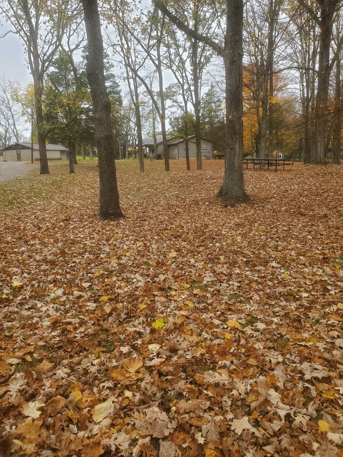 Hole 1