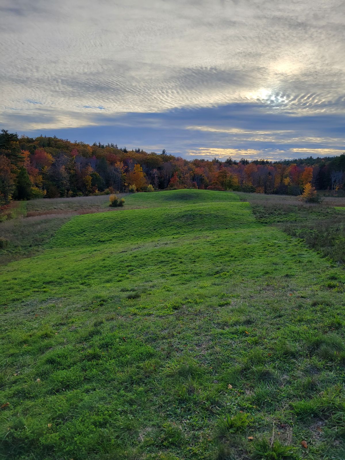 Hole 6 from the fairway.