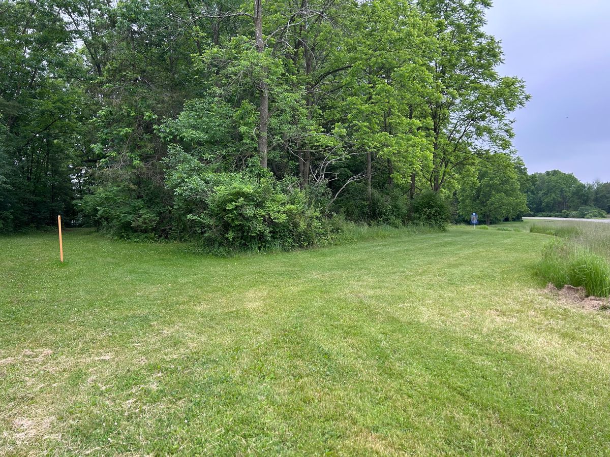 Hole 7 tee & basket from the side.  Blind, very angled shot.