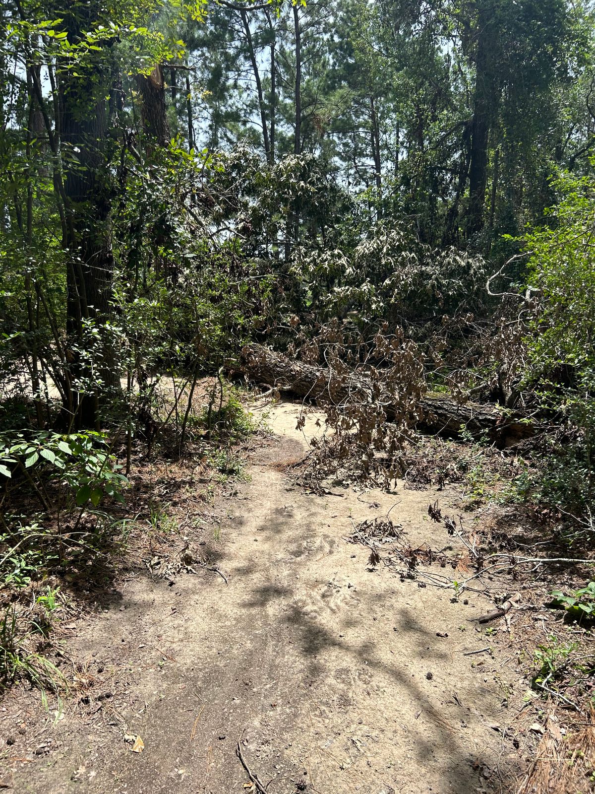Path to 2