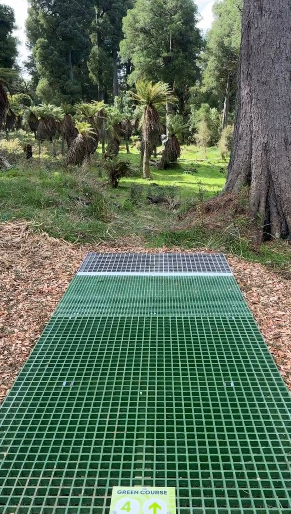 Disc Shop NZ - Proto-Tee - Our first version is just for testing - we are refining this. Hole 4