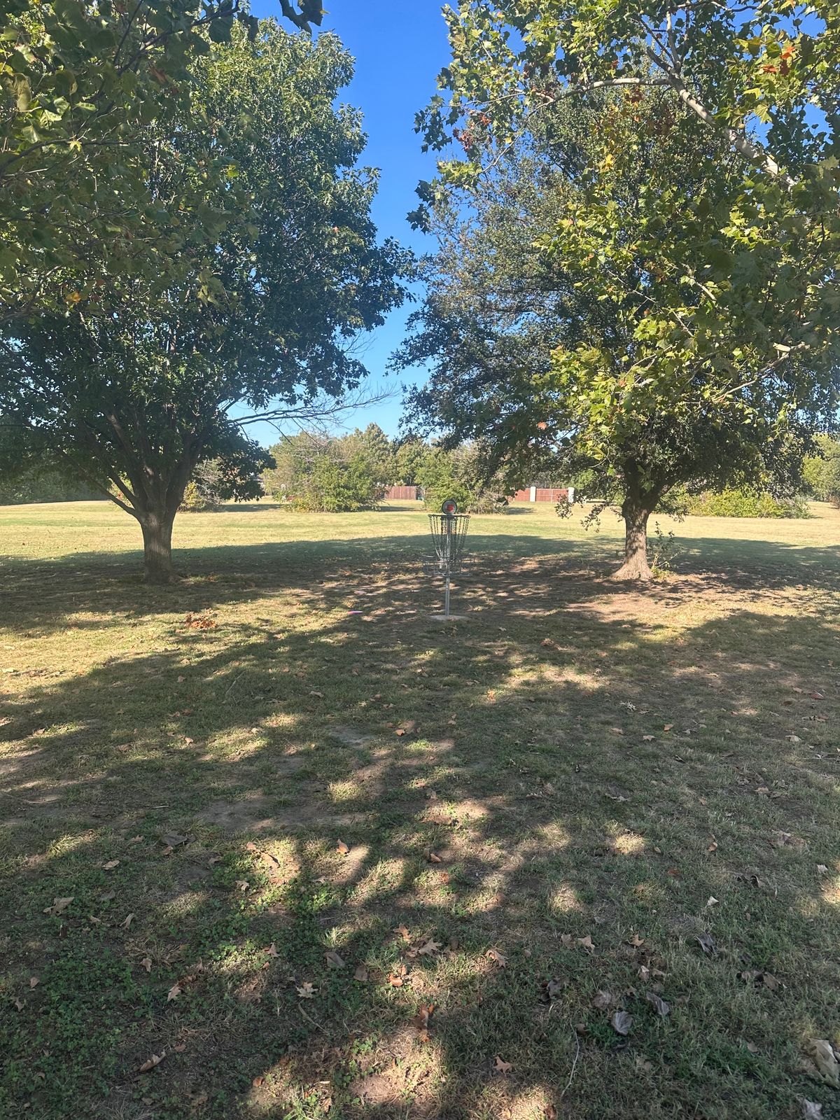 Hole 5 green