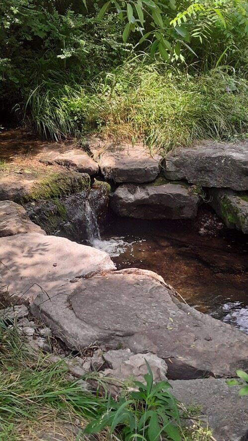 Course crosses the creek 4 times