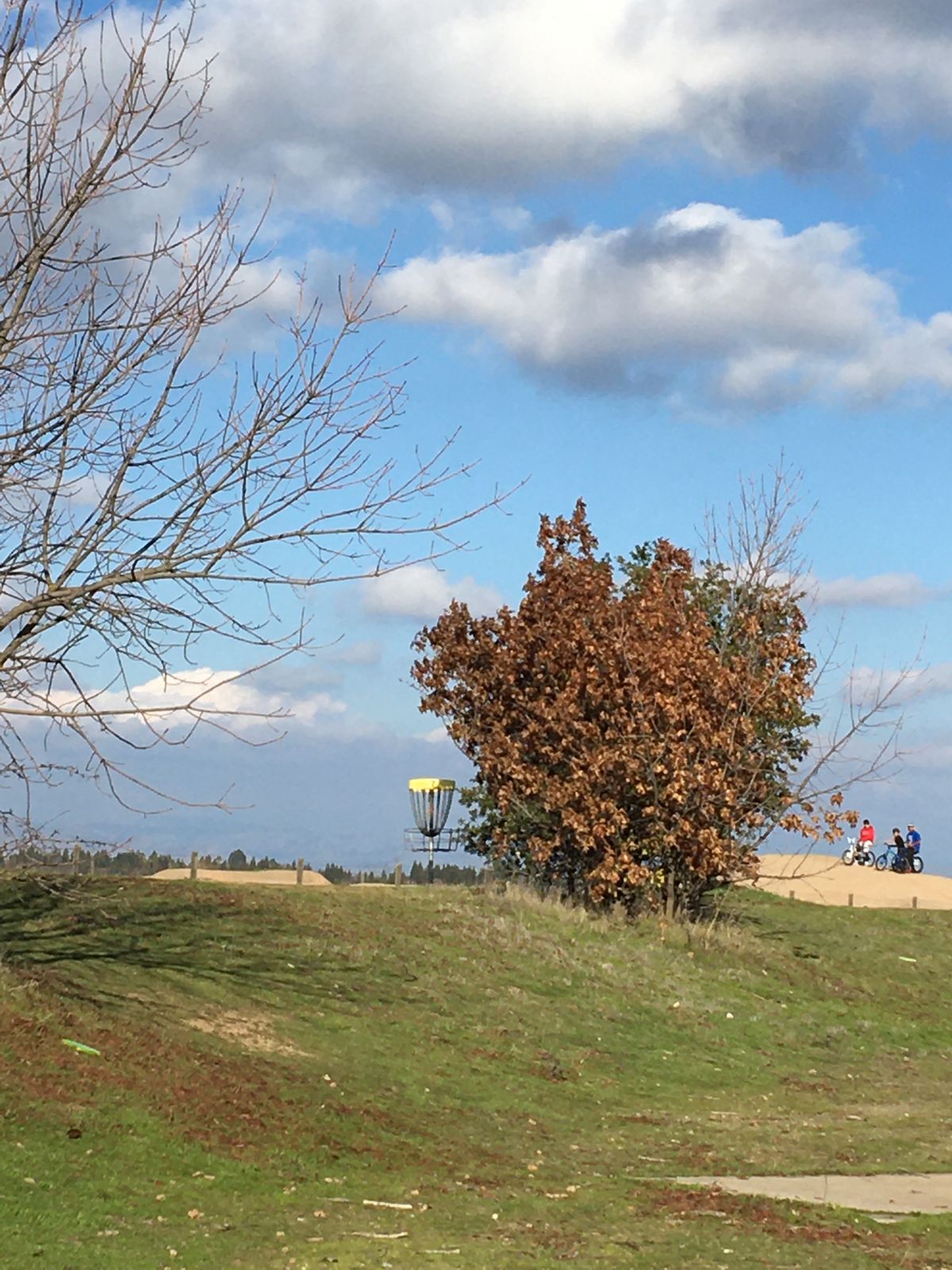 Hole 7