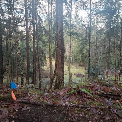 View from the tee on Hole 8