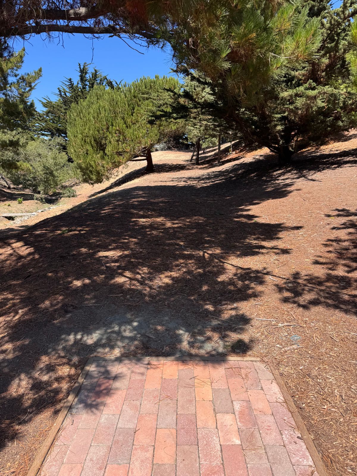 Hole 9 (8/4/25)