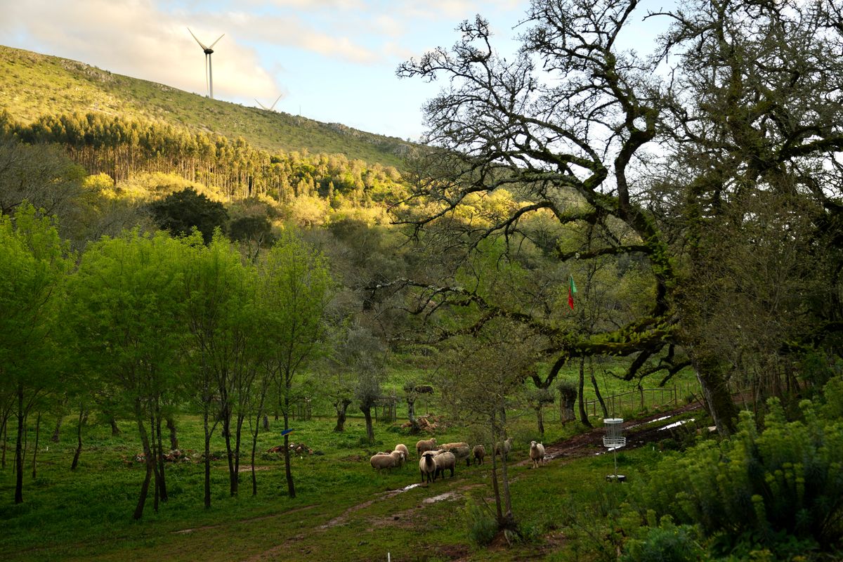 Valleys by hole 6