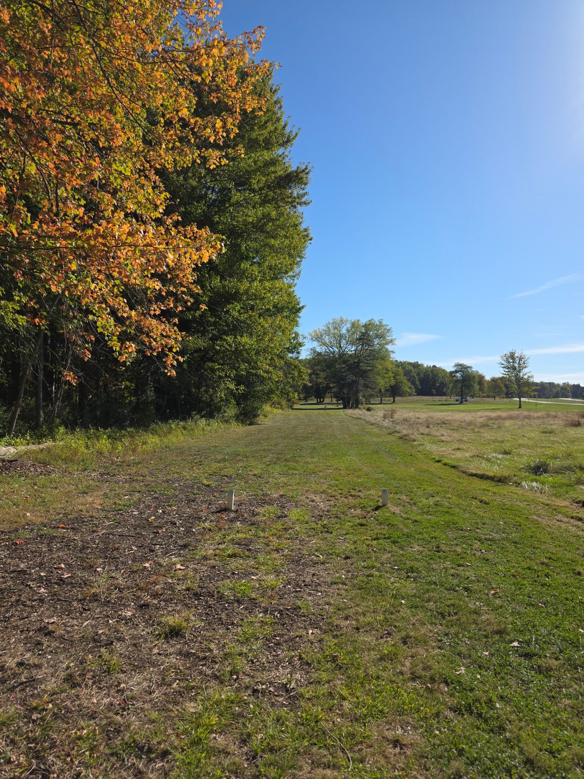New Hole 8, September 30, 2025