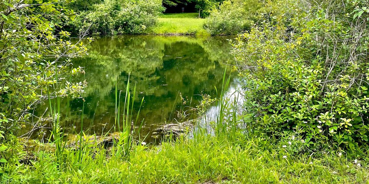 BlueGill HOF fundraiser 2026