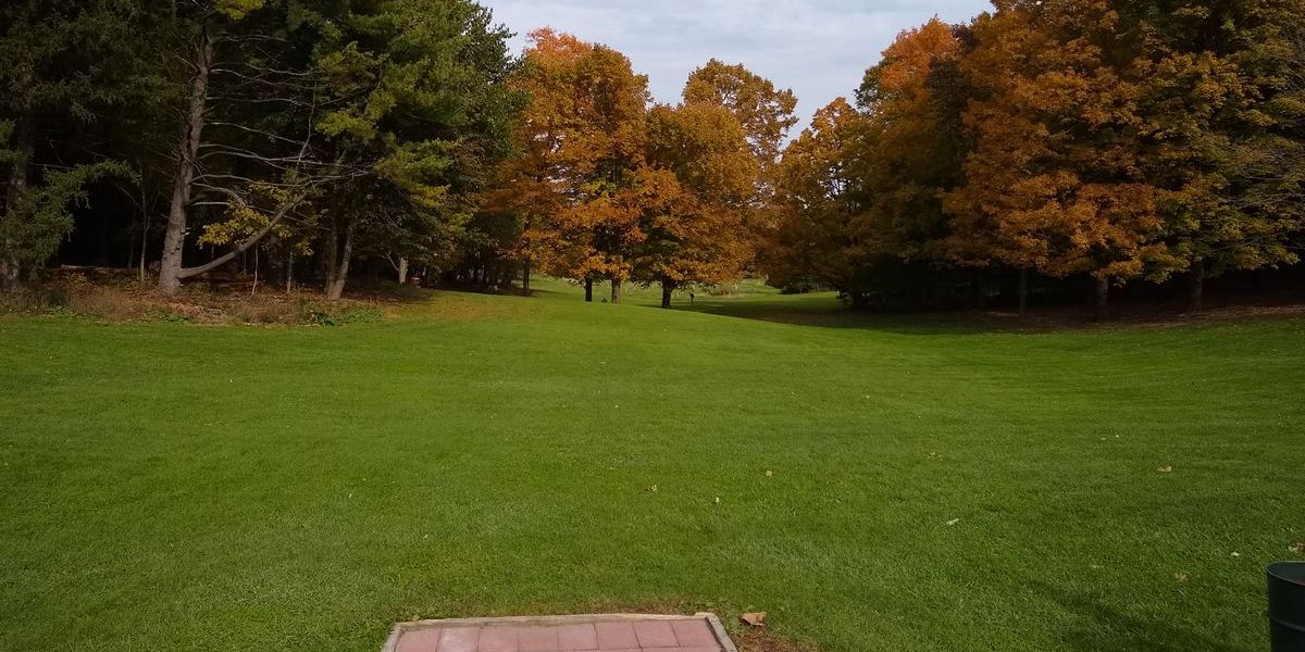 IOS #137 Forest City Frenzy presented by Discraft