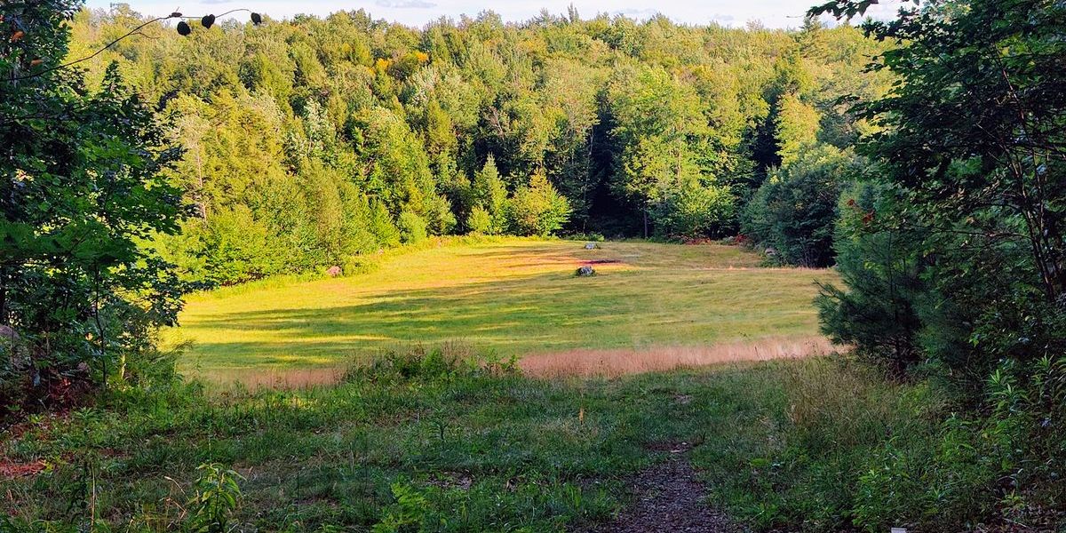 DisCap present the Battle of Saratoga XXIII
