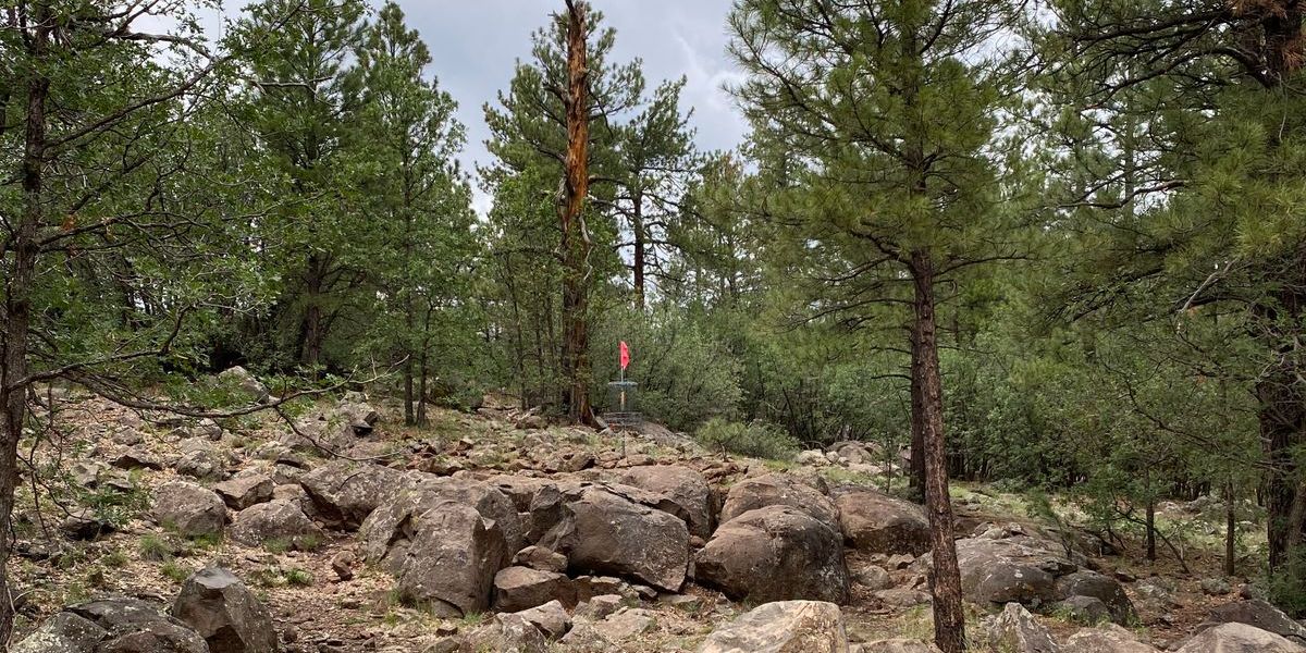 FDGC Monthly Jan 2026