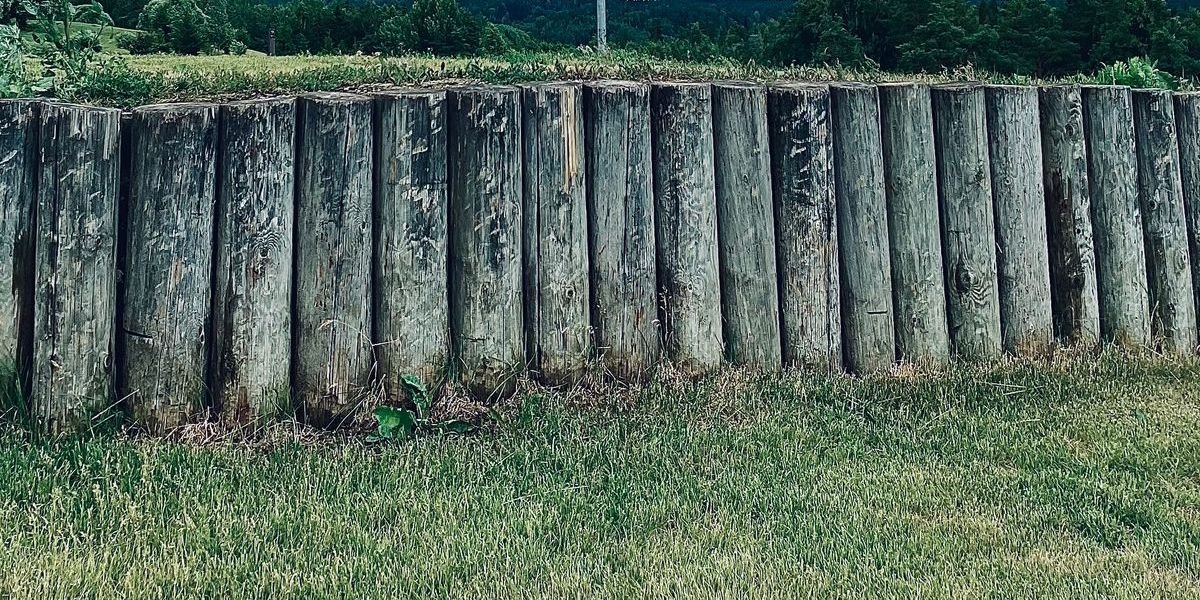 NFS Seuramestaruuskisat 2024