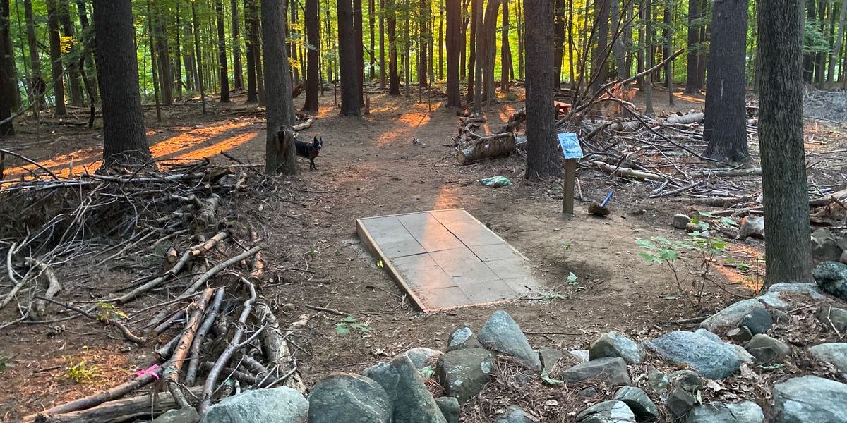 Orenaug Park Turkey Trot 2025 presented by Discraft