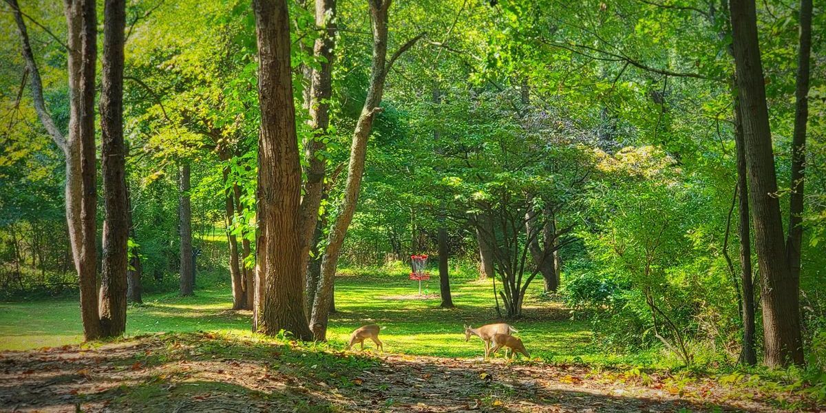 Hammond Hill Space Race 2025