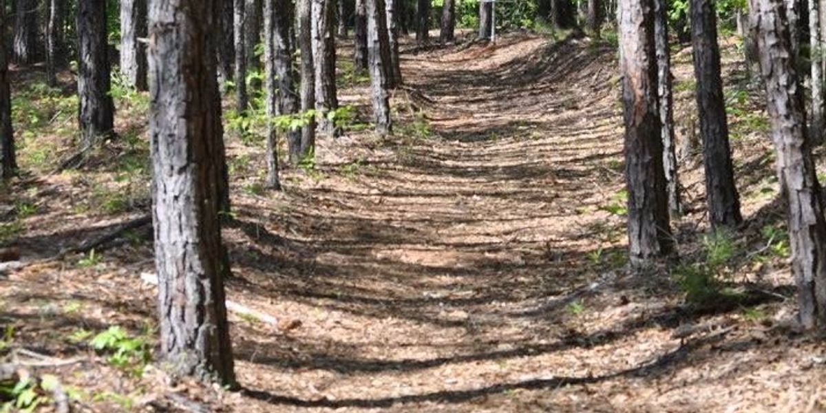 10th Annual Spartanburg Spring Fling