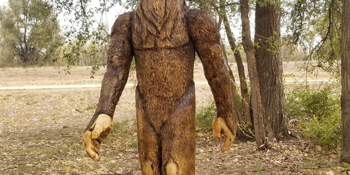 CODGHOF Winter Series 2026: Stop 4 Sponsored by Rare Air Discs