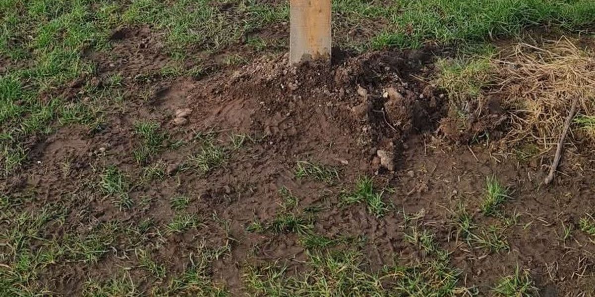 Hard Frost Chains for Charity