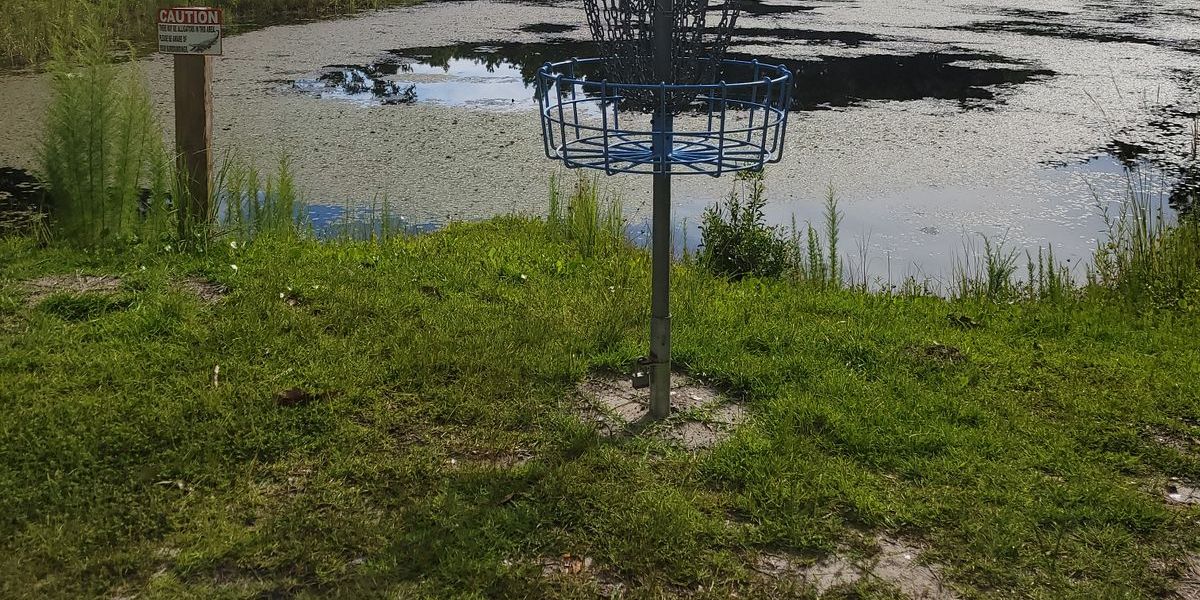 Disc golf is the game