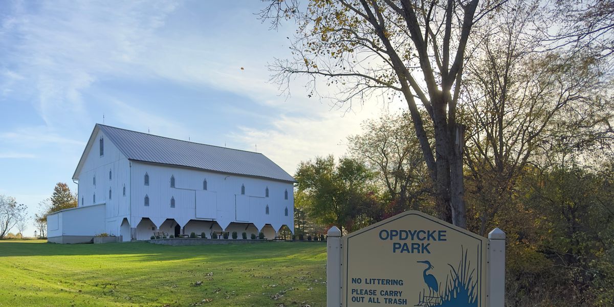 Black Friday with the winter blues