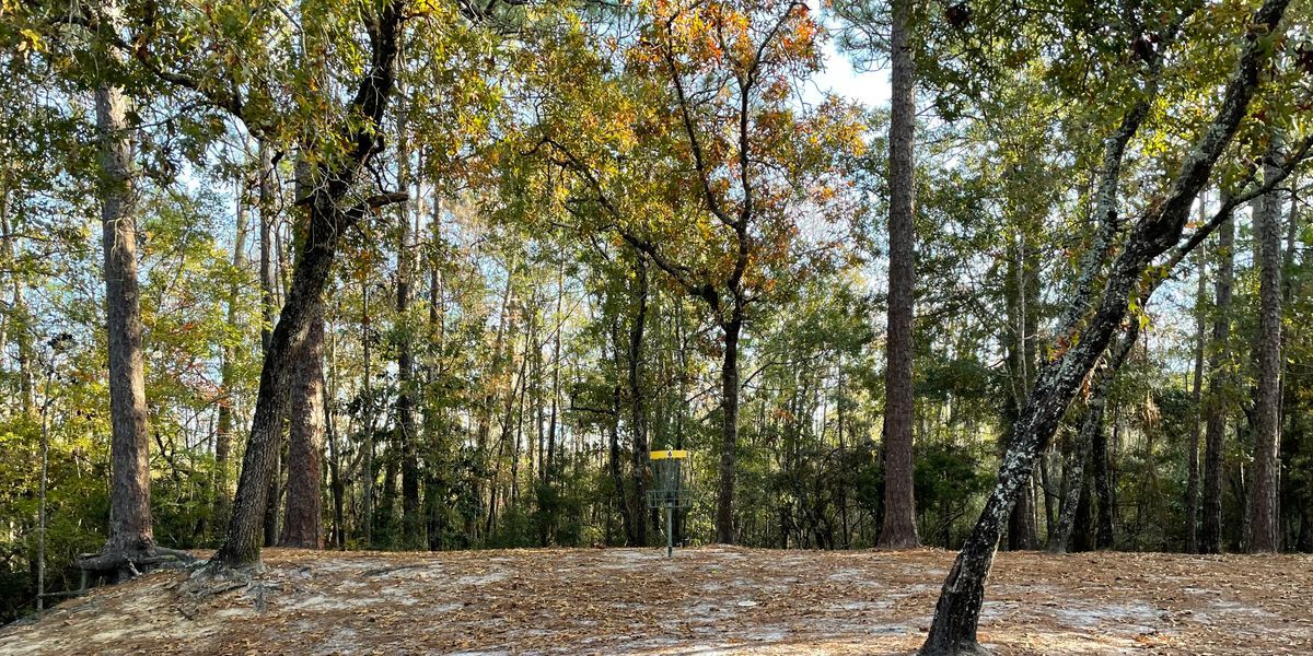 THE PREGAME-  2pm RIPT REVENGE & MORE