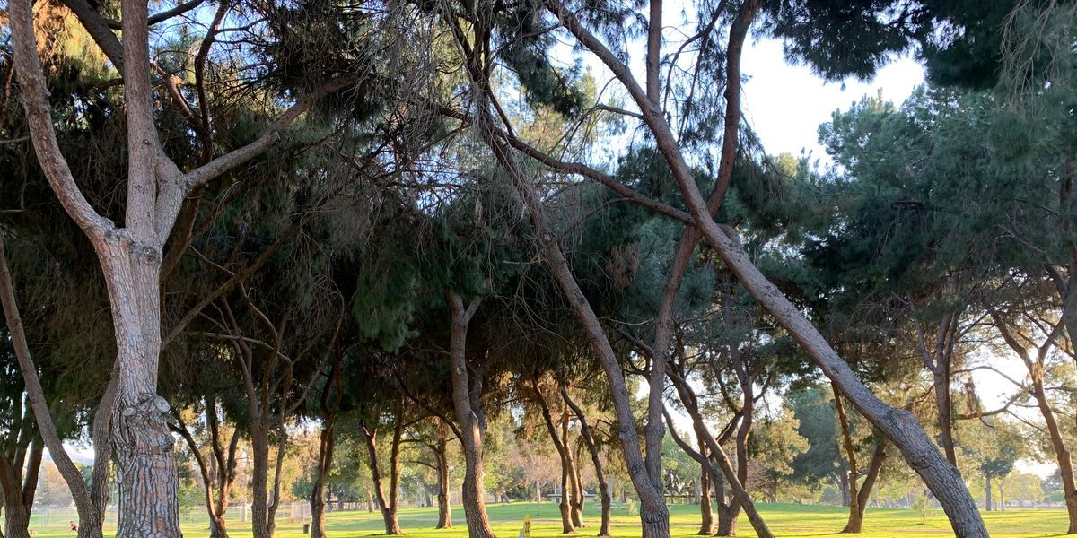 Andre’s Junior Worlds Fundraiser