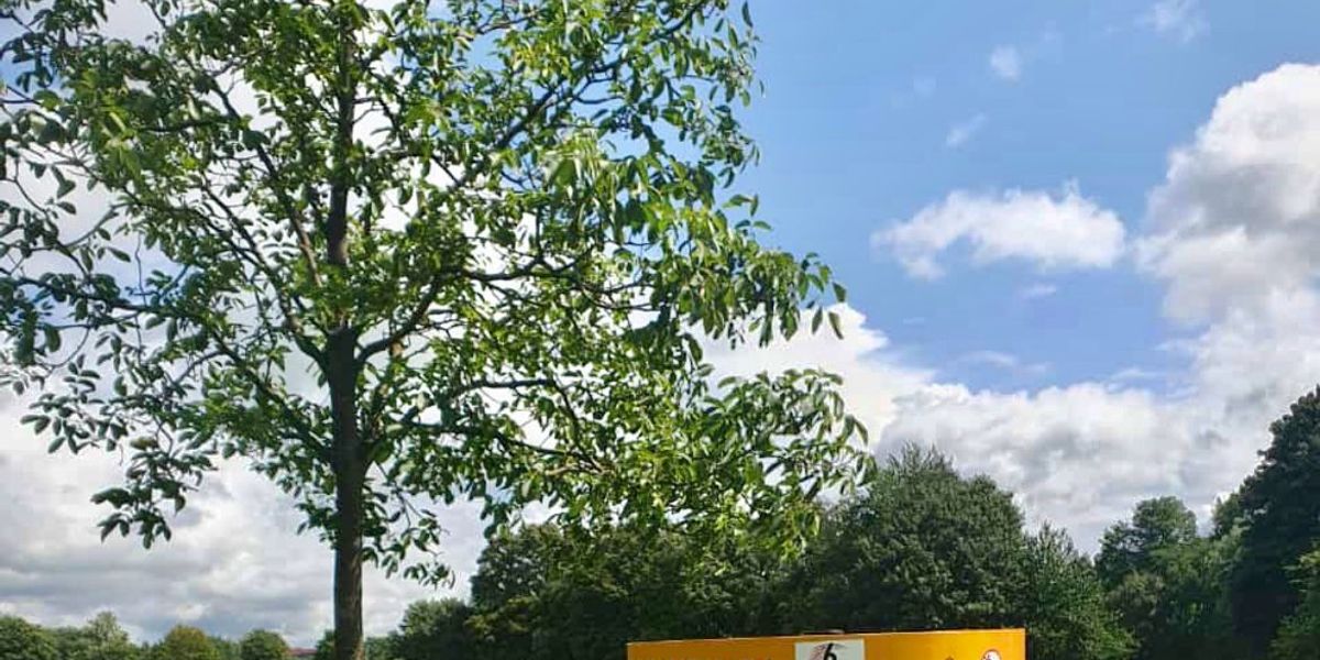 SG Marssel Bremen Fun Open 2025