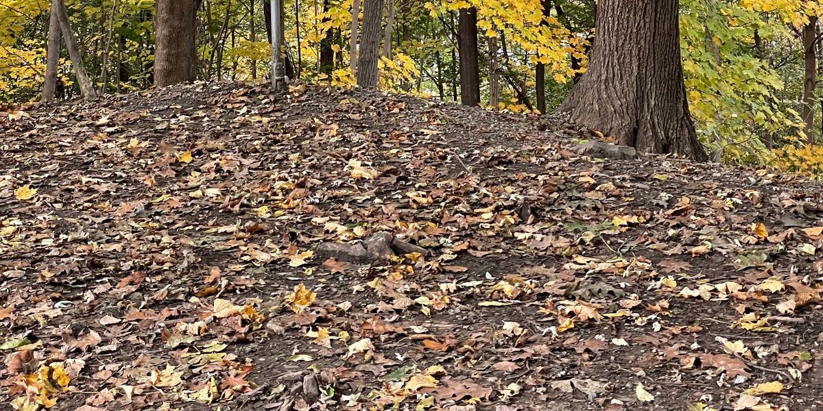 DisCap Flex series 2026 5 of 6 (CEP Charity - Rated)