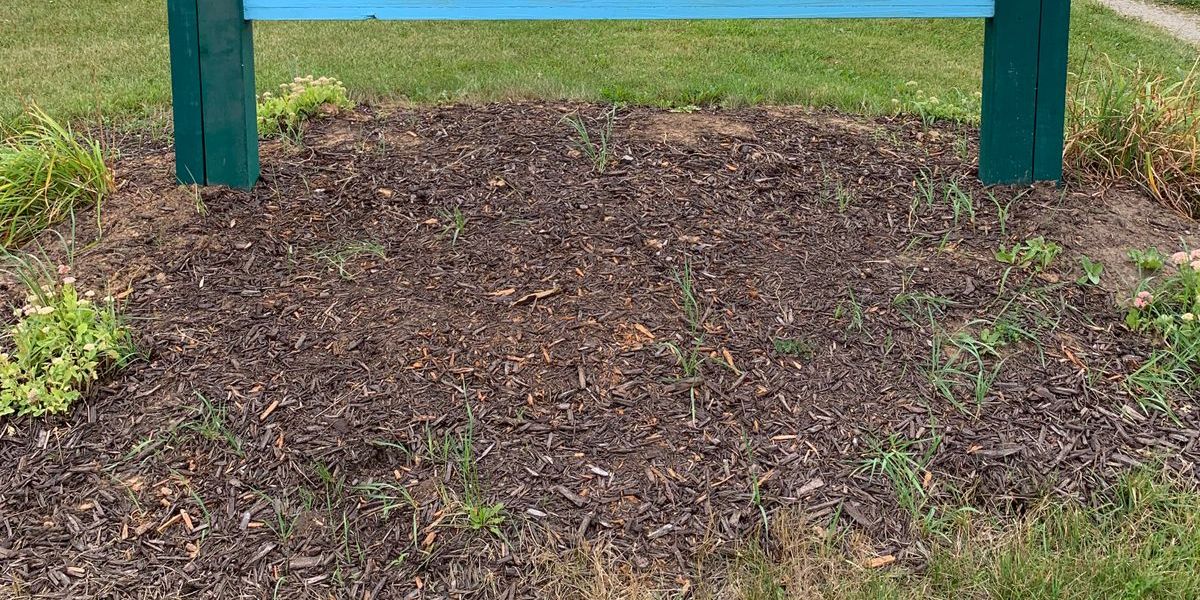 Mayhem Monday League Ender