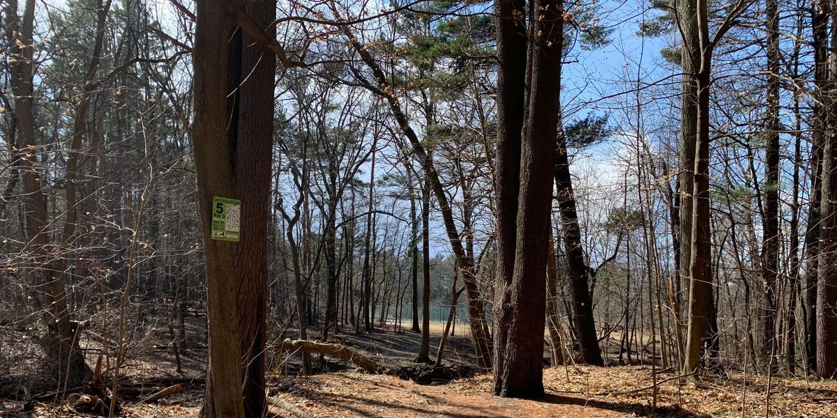 DisCap Flex series 2026 3 of 6 (CEP Charity - Rated)