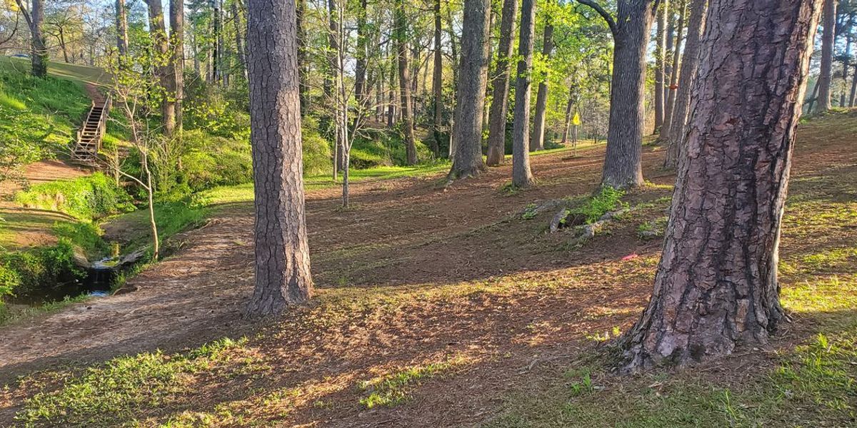 Perkerson Park Open MMXXV