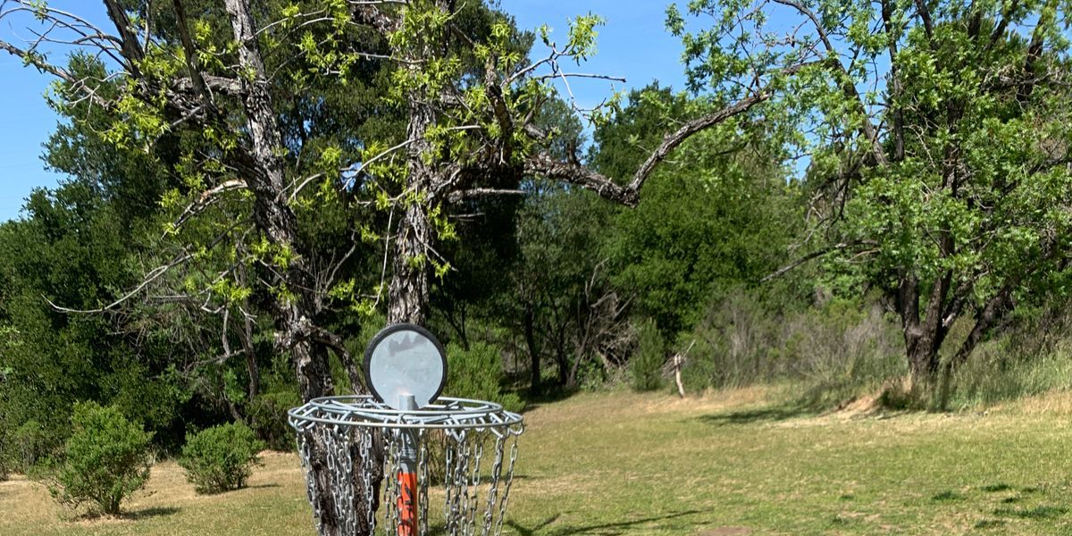 Fairwood Disc Golf Club Tournament