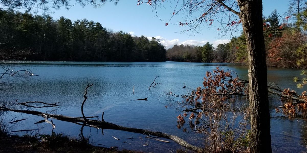 LAKE JULIAN WORK DAY