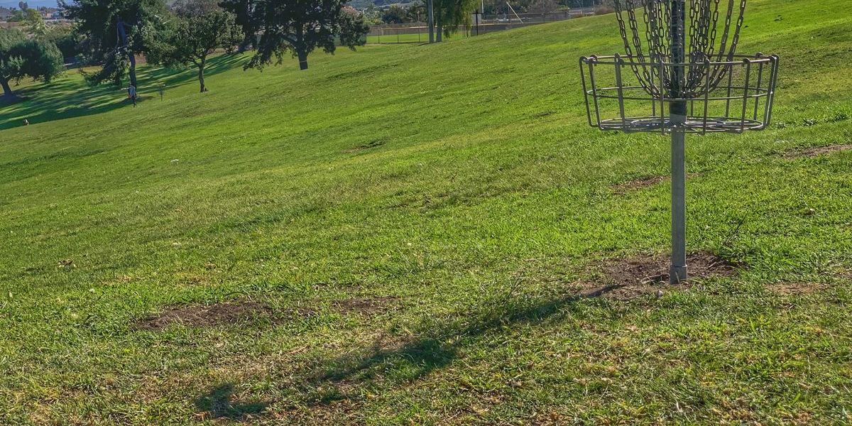 2025 Chingones Disc Golf Club Tag # 4