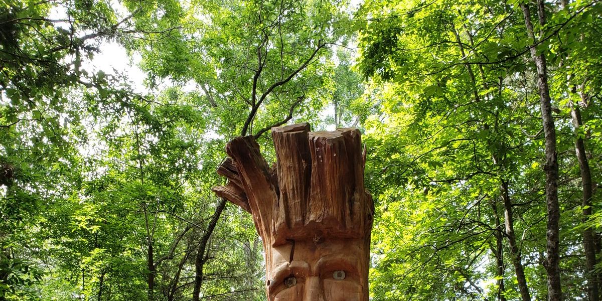 Valley Springs Flex XVI