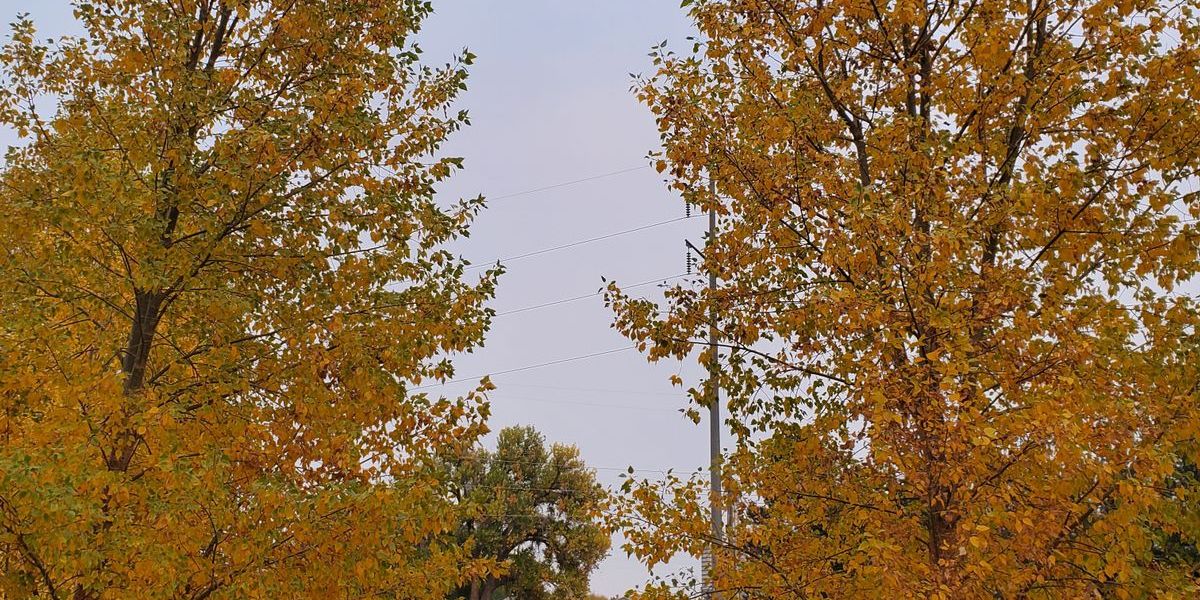 St. Patty's Day Meltdown