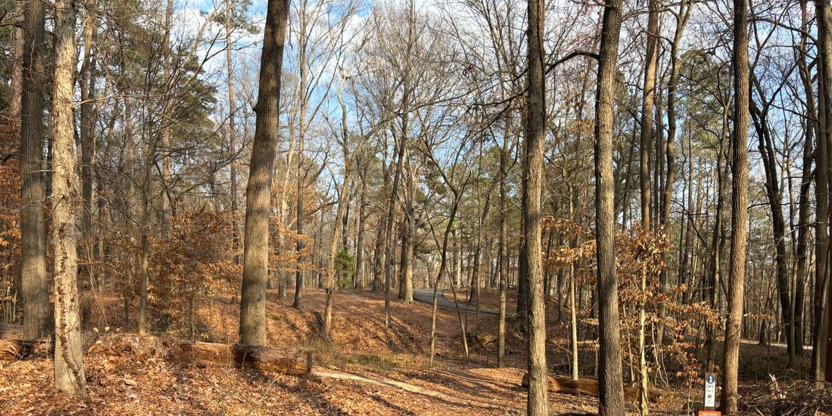 RMDG's November Singles