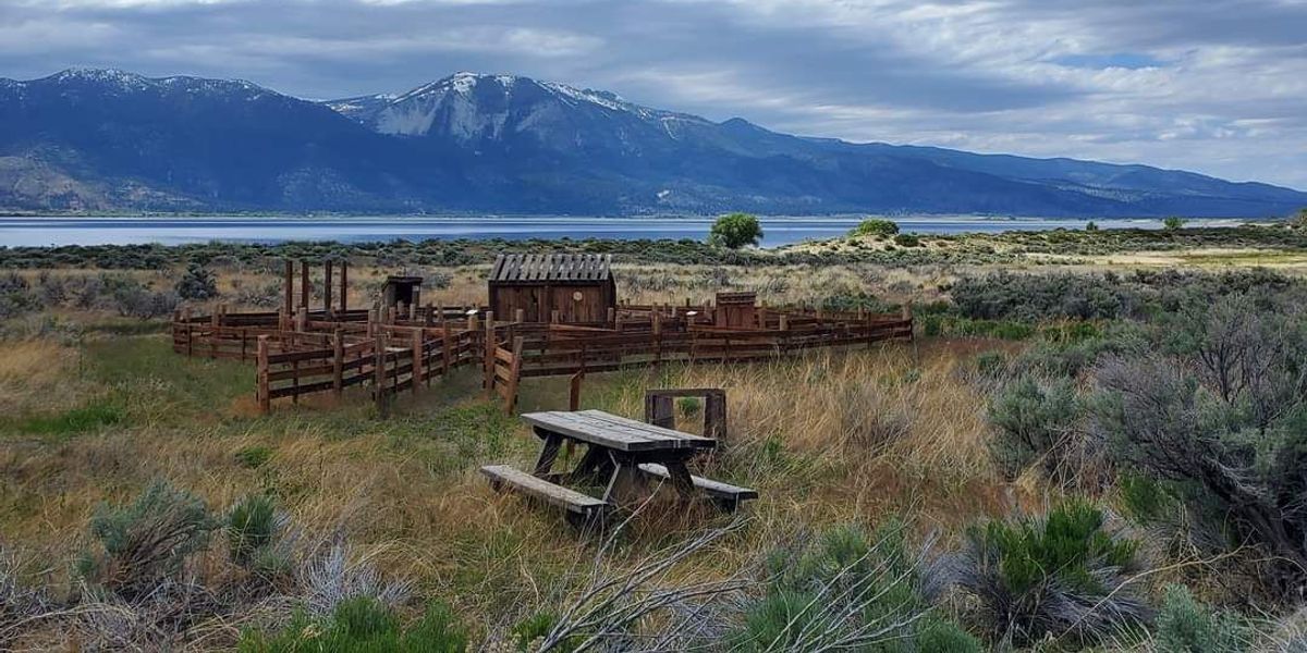 1st Annual Washoe Lake Disc Golf Tournament