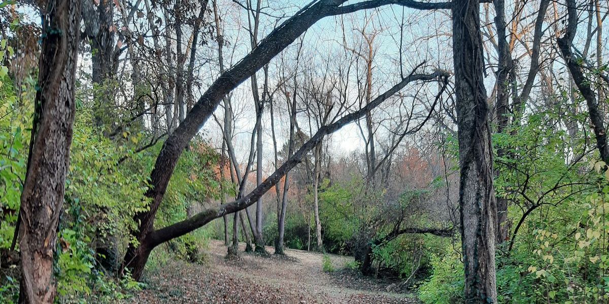 Black Friday Flex @ Hudson