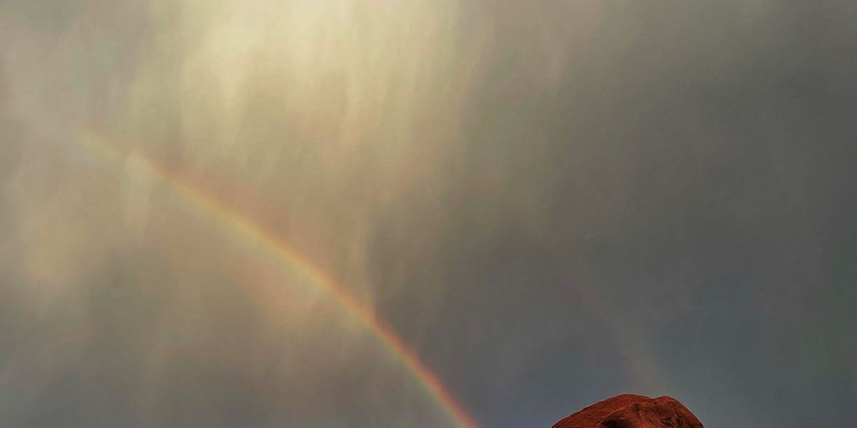 Thunderbird Throwdown