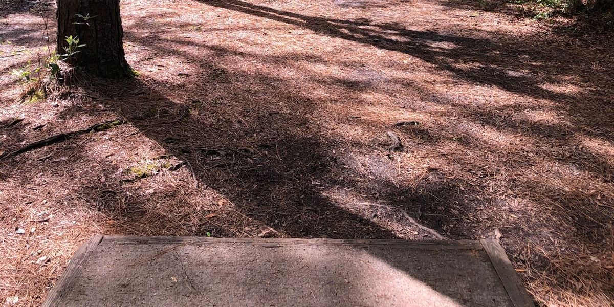 The Holiday Classic at Castle Hayne