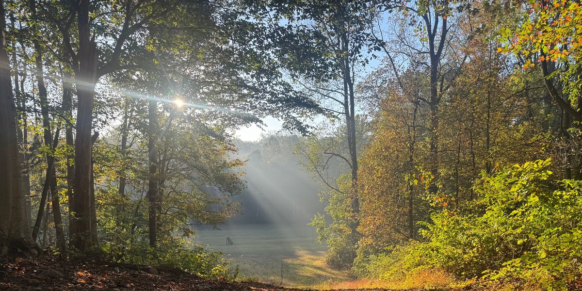 Chaos at Kirchenwald